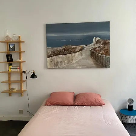 Apartment De 30 M2 Dans Le Triangle D'or De